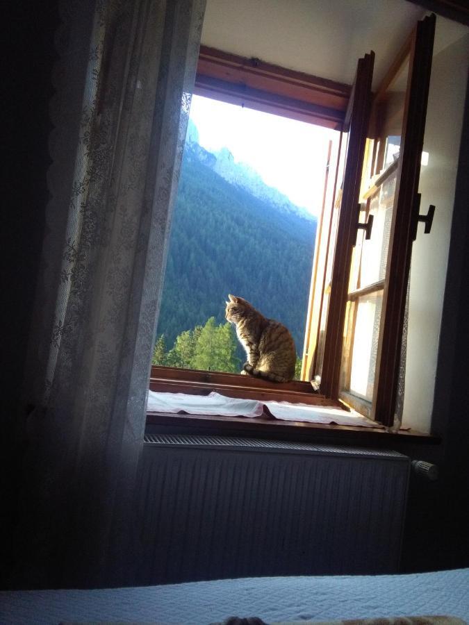 Achillea Bed & Breakfast Vigo di Fassa Exterior foto