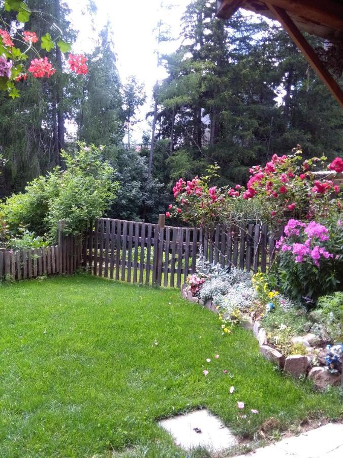 Achillea Bed & Breakfast Vigo di Fassa Exterior foto